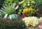 Canary Islandplanting-garden-and-landscape-design-24.jpg; ?>